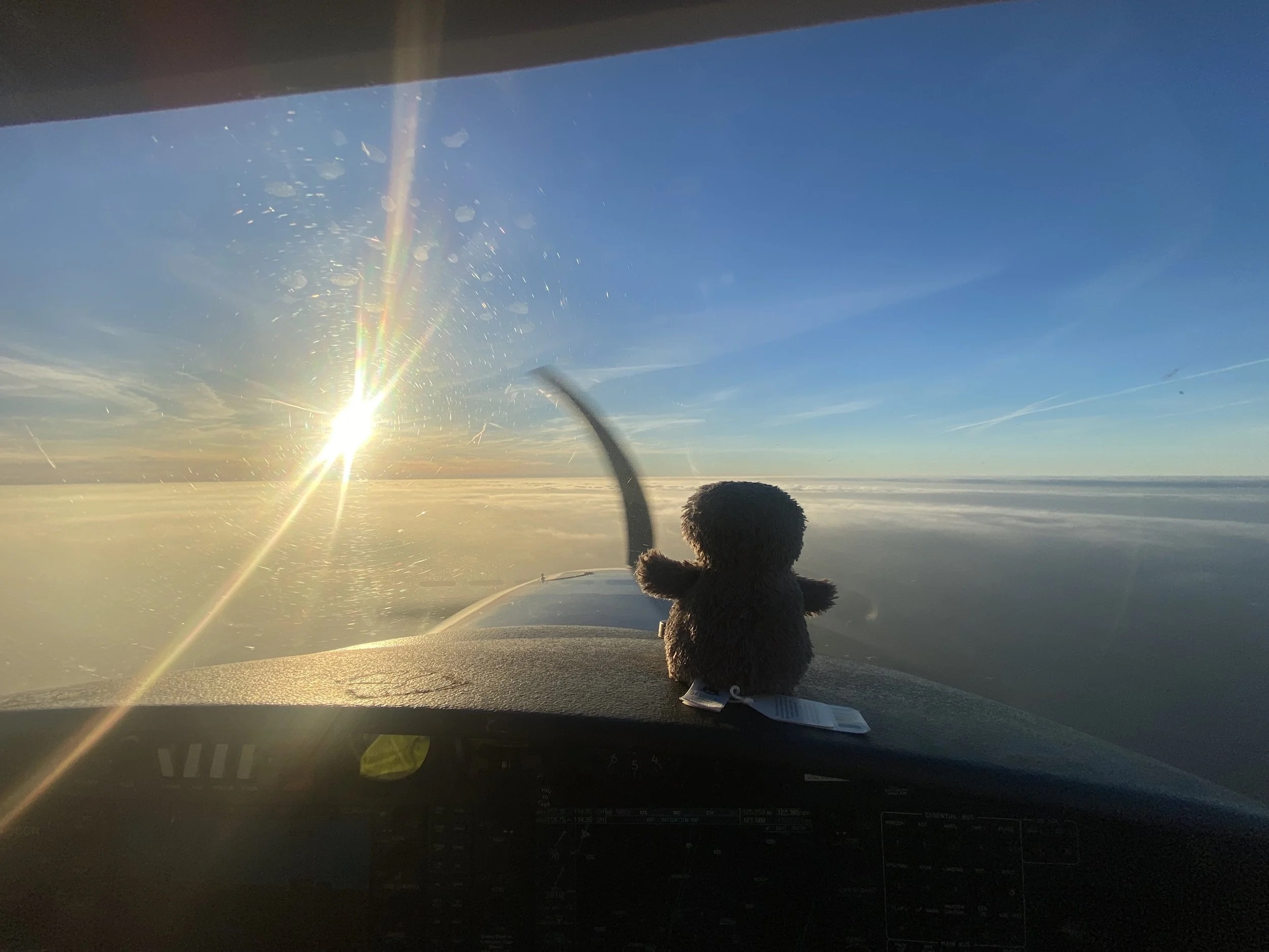 Peanut, our resident morale booster